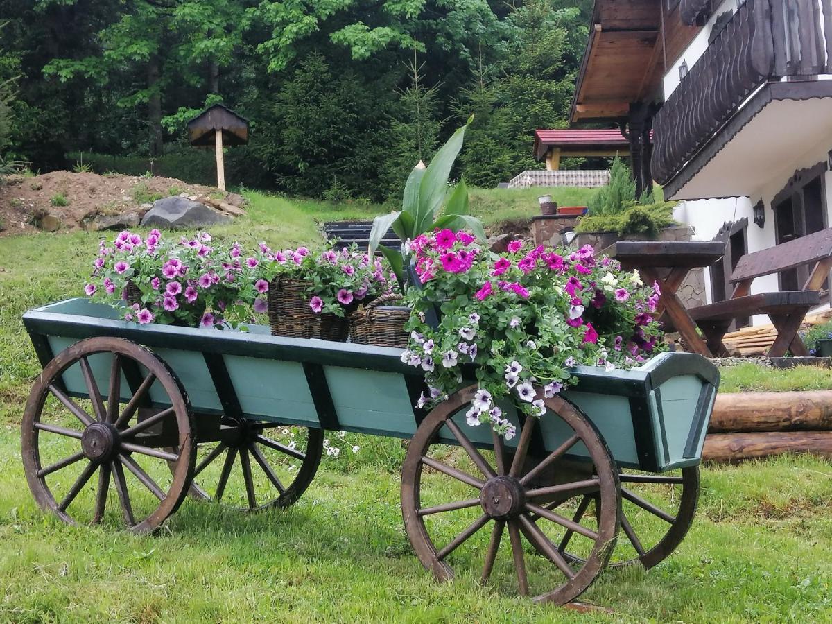 Casa Verde Voronet Eksteriør bilde